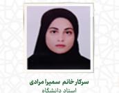 استاد محترم دانشگاه بجنورد