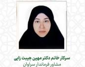 سرکار خانم دکتر مهین هِیبت زایی