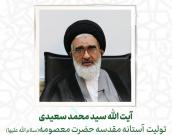  آیت الله سید محمد سعیدی