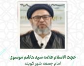  حجت الاسلام والمسلمین علامه سید هاشم موسوی 