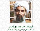 حجت الاسلام والمسلمین  محمد محمدی قایینی
