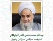 آیت الله محمد حسن فاضل گلپایگانی