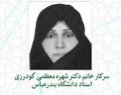 سرکار خانم دکتر شهره معظمی گودرزی