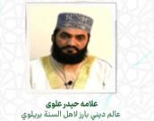  العلامه حیدر علوی 