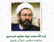  آیت الله محمد جواد مجتهد شبستری