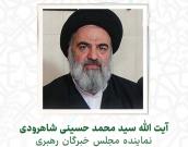  آیت الله سید محمد حسینی شاهرودی