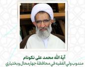  آية الله محمد علی نکونام
