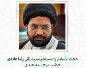حجت الاسلام والمسلمین سید تقی رضا عابدی