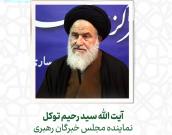  آیت الله سید رحیم توکل