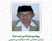 پروفسور نجم الدین عبده الصفا