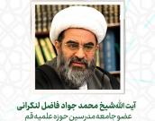 آیت الله شیخ محمد جواد فاضل لنکرانی