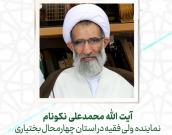 آیت الله محمدعلی نکونام