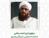 مولوی نذیر احمد سلامی