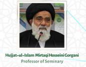 Hujjat-ul-Islam wal-Muslimin Mirtaqi Hosseini Gorgani