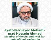 Ayatollah Mohammad Hossein Ahmadi Shahroudi
