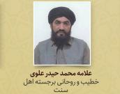علامه محمد حیدر علوی 