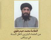 العلامة محمد حیدرعلوي 