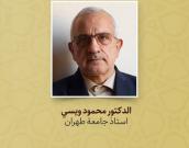 الدکتور محمود ویسي