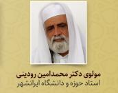 مولوی دکتر محمد امین رودینی