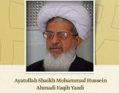 Professor of Qom Seminary, Iran