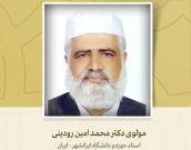 استاد حوزه و دانشگاه ایرانشهر