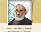 Member of Assembly of Experts, Iran