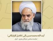 نماینده مجلس خبرگان رهبری