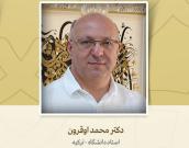 استاد دانشگاه 