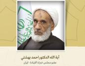عضو مجلس خبراء القيادة