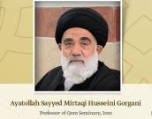 Professor of Qom Seminary, Iran