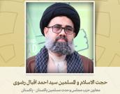 معاون حزب مجلس وحدت مسلمین پاکستان 
