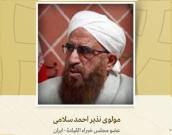 عضو مجلس خبراء القيادة 