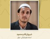 استاد علوم قرآنی