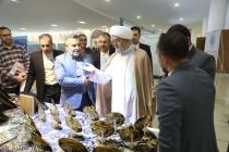 برگزاری نمایشگاه دستاوردهای تقریبی کشور