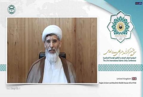 شیخ التریکی در وبینار سیوهفتمین کنفرانس وحدت: همه ارزشهای اسلامی، در درجه اول ارزشهای انسانی به حساب میآیند