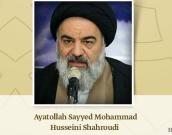 Member of Assembly of Experts, Iran