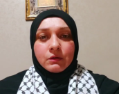 استاد ریما حبیب 