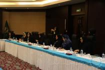 نشست هم اندیشی بانوان داخلی کنفرانس