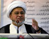 علامه شبیر حسن میثمی